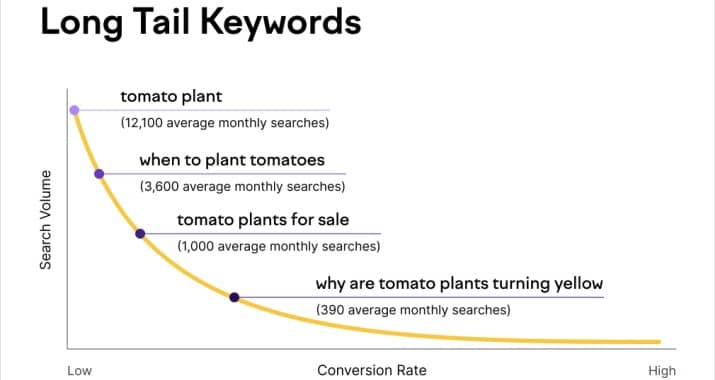Long Tail Keywords For Programming Blog